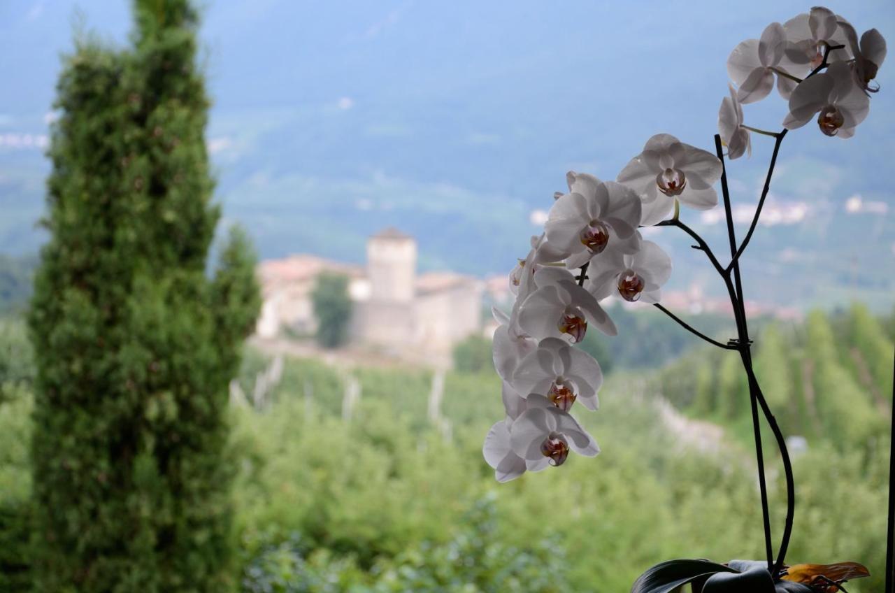 Al Trifoglio Bed & Breakfast Campodenno Exterior photo